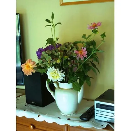 Lovely In Apartment Kirn